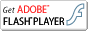 Flash player �_�E�����[�h